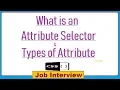 13 What is an Attribute Selector Types of Attribute in CSS