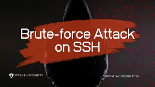 How to Attack SSH Login using Hydra Brute Force using using Kali Linux and Hydra Stealth Security