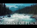 Download Lagu Gregorian - Moment Of Peace (Cover by Igor Gorelov 2020) 4K💖