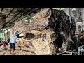 Download Lagu Monster Logs Brutally Ripped Apart ‼️ The Most Horrifying Sawmill Action