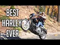 BEST HARLEY-DAVIDSON EVER HECK YEA THE 1990 HARLEY-DAVIDSON FXR
