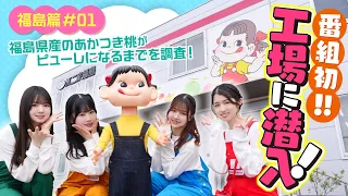 第1回「不二家工場に潜入⁉福島県産のあかつき桃がピューレになるまでを調査します」AKB48　岩立沙穂 布袋百椛 橋本陽菜 大賀彩姫