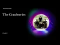 Download Lagu The Cranberries - Zombie (drumless)