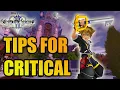 The Ultimate Guide For Your First Kingdom Hearts 2 Critical Mode Playthrough
