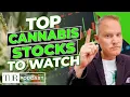 Download Lagu Top Cannabis-aandelen die beleggers in de gaten houden | TDR Cannabis in 5