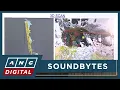 Lagu WATCH: PNP presents 3D scan of site where DWPH Usec. Cabral's body was found | ANC
