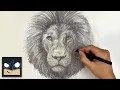 How To Draw a Lion Beginner Pencil Tutorial Step-by-Step