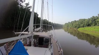 SLOW TV – Sailing Up the Maroni River, French Guiana – Sailing Vessel Delos
