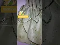 Disfraz de Campanita