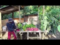 Download Lagu Kebahagian seorang petani yang jarang orang kota miliki