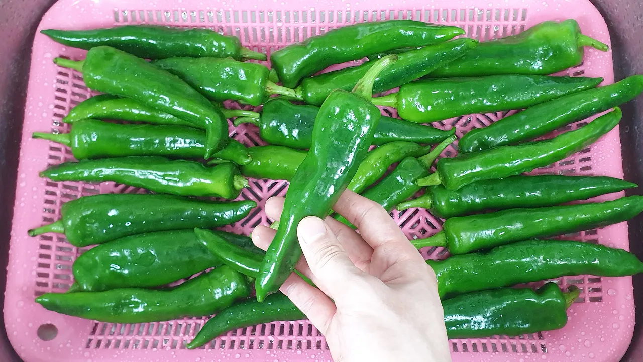 고추 양파 장아찌