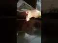 Download Lagu Galera tudo bem eu fiz esse vídeo que eu vou fazer a parte dois para vocês ver tchau galera beijo Te