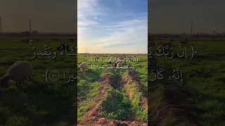 إن ربك يبسط الرزق لمن يشاء ويقدر إنه كان بعباده خبيرا بصيرا   سورة الإسراء القارئ عامر الكاظمي دندنها