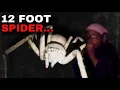 Download Lagu dont even try to run from this spider.. (Huntsman)