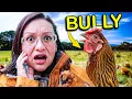 Why Some Chickens are BULLIES how to CHANGE THEM