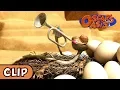 Oscar s Oasis - Chicken Piper Funny Cartoons