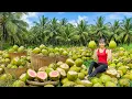 Download Lagu TIMELAPSE -- Harvest 1000+ Giant Jelly Coconuts, Transport Go to Market Sell - Flower Planting