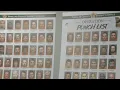 More unlicensed contractors busted in Pinellas County