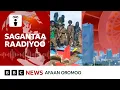 Marii biyyaalessaa irratti waa ee Finfinnee maaf akkas falmisiisaa ta e murteen darbehoo maali