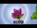 Download Lagu 《全字幕あり》SGI 勤行•題目(10min) gongyo daimoku 『full telop』〜Nam myoho renge kyo〜