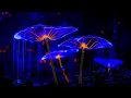 Enchanted Mushroom Rain 528 Hz Calming Meditation to Return to Your Natural Frequency