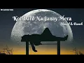 Download Lagu Koi Dard Na Janay Mera [Slowed + Reverb] - Sahir Ali Bagga | Mera Khuda Janay | Sad | Sarvesh_Vibes