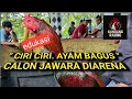 Download Lagu \