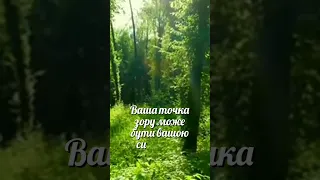 Ваша точка зору може бути вашою силою або вашою в язницею  Ваша точка зору може бути вашою силою або вашою в язницею