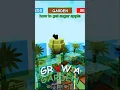 Download Lagu HOW TO GET SUGAR APPLE (grow a garden Roblox)