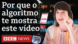 O que são os algoritmos e como eles aprendem com você