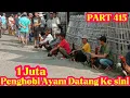 PART 415 🛑 1Juta Penghobi Ayam Datang Ke Sini ‼️