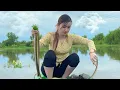 Download Lagu 3 Con Rắn Hội Tụ Đã Bị Bắt Trong Một Cái Bẫy | Trúc Phương Vlog - Hunting Snakes