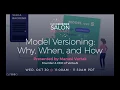 Model Versioning Why When and How