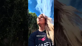 Just a girl standing on a hill, below the equator 🇧🇷🌴🤍