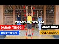 Download Lagu 20 MENIT SENAM DARAH TINGGI - KOLESTEROL- ASAM URAT - GULA