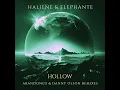 Hollow (Danny Olson Remix)