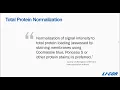 Total Protein Stain Western Blot Normalization Protocol