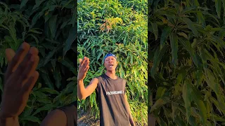 Funny Comedy Niwasiwasi Wenu TU Mm Hua Naweka Stutas Ili Mjua Kua Nipo Hai Trendingreels 