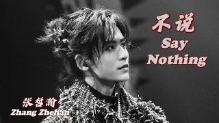 Download 《不说 Say Nothing》 (Live FansCam 饭拍) 【Zhang Zhehan 张哲瀚】《我遇见我 Another Me》首唱会 Mini Concert 20201018 MP3