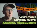 Download Lagu Why Take Action With Animal Rebellion?