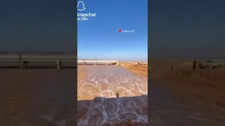 الفنان ميحد حمد 