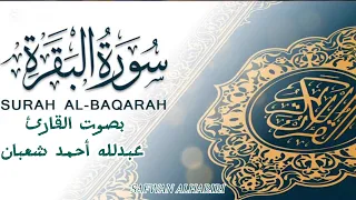 أروع تلاوات للقارئ الطفل عبدلله أحمد شعبان مؤثر اشتراك اكسبلور اعجاب القرآن الكريم سورة البقرة 