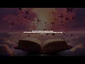 ALIA LARA - Matthew 6:33