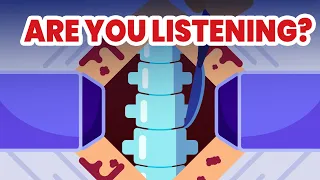 Your Back Is Trying to Tell You Something