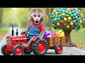 Download Lagu Monkey Nana drove the tractor , discovered a candy tree and a UFO , and saved the dry Field