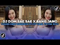 Download Lagu DJ DOM SASE SAE X BANG JANO SOUND DROP ENAKEUN STYLE VIRAL TIKTOK 2025