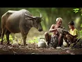 Sleep Music 6 hours, Relaxing Music, Healing Music, Sleep Meditation, Khmer Flute Sound
