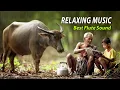 Lagu Sleep Music 6 hours, Relaxing Music, Healing Music, Sleep Meditation, Khmer Flute Sound