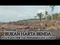 Lagu Terkini!!! Bukan Harta Benda Hilang | Puluhan Hektar Persawahan Ludes Dalam Sekejab