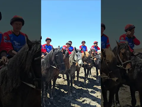 Кок-Бору  Уч-Малай  #horse #rek